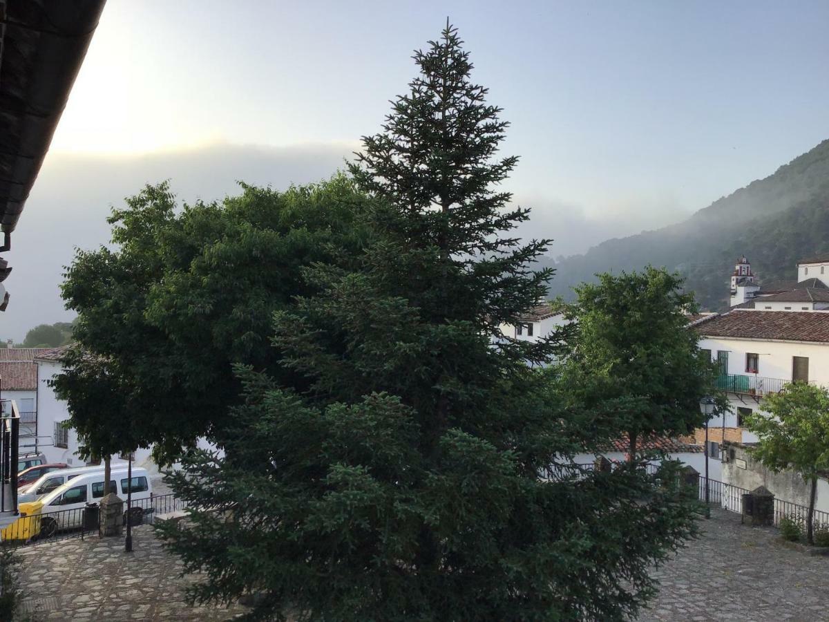 Вілла Vivelorural Casa Tassone, Grazalema - Cadiz Екстер'єр фото
