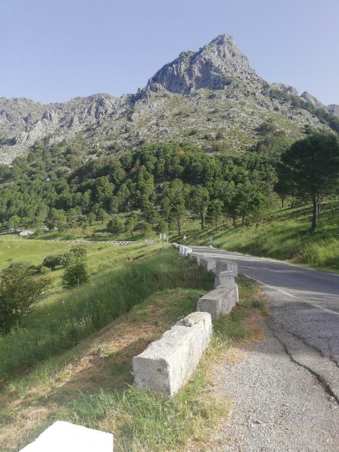 Вілла Vivelorural Casa Tassone, Grazalema - Cadiz Екстер'єр фото